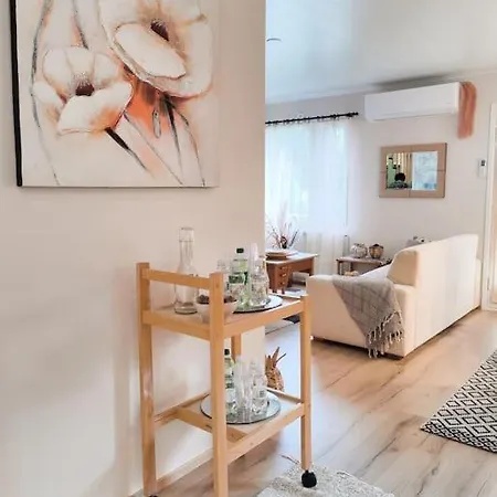 Ruma Ankanpoikanen * Pori