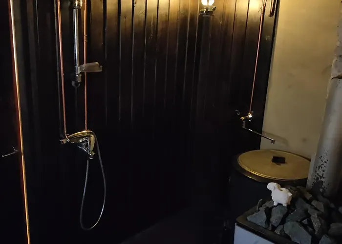 Ruma Ankanpoikanen * Pori